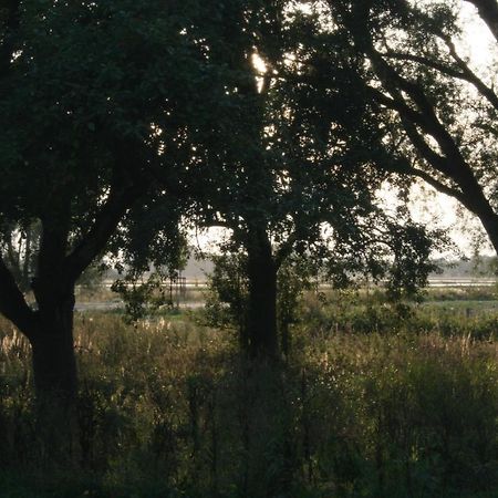 Landhaus An Der Wiek Poseritz Ngoại thất bức ảnh